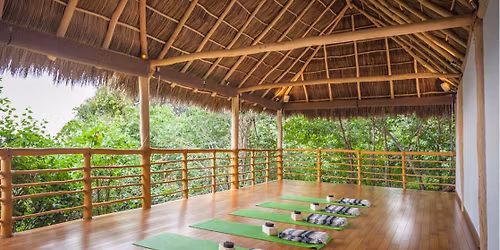 UNFOLD, where presence becomes healing