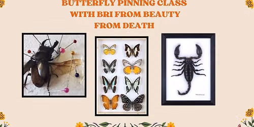 Butterfly Pinning Class with Bri