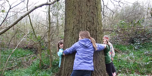 NWT Sweet Briar Marshes: Treemendous trees (family event)