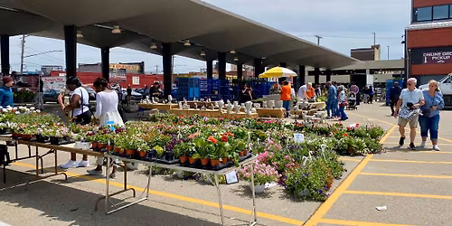 Flower Tuesday Market 2026
