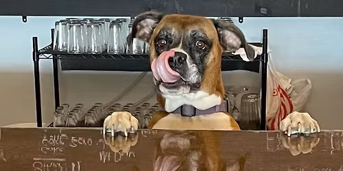 Live music with Russ James