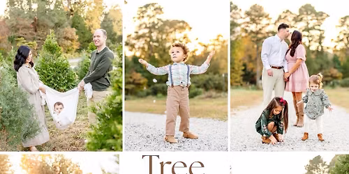 Tree Farm Minis