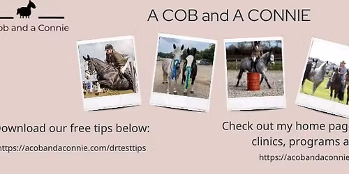 Working Equitation Training clinic