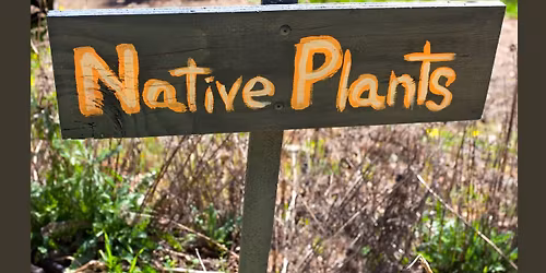 Native Plants: Seed Collection, Sourcing, and More