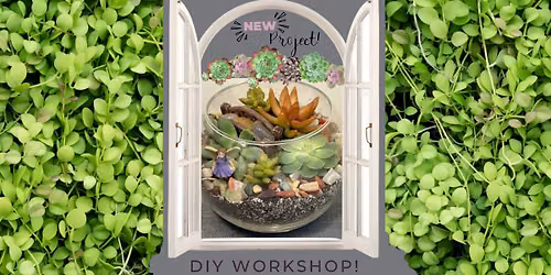 Succulent Terrarium