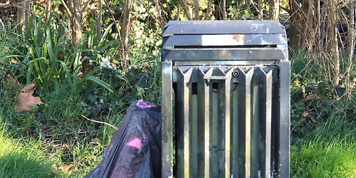 Afternoon Litter Pick