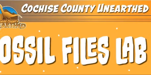Fossil Files Lab