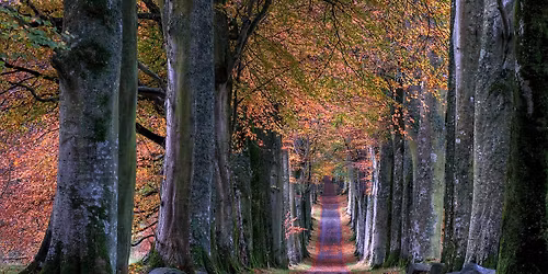 Genova Cultura Incontri - Costellazioni Familiari