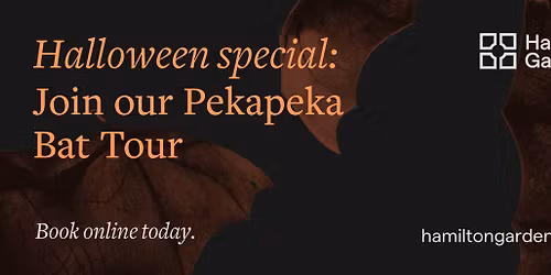 Go Batty this Halloween with a Pekapeka Bat Tour \ud83e\udd87 in costume!