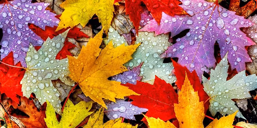 H\u00f6stkonsert med K\u00f6r!K\u00f6r!K\u00f6r!