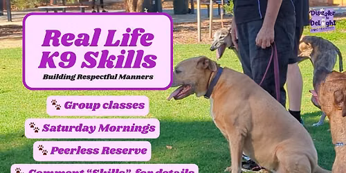 Real Life K9 Skills - Building Respectful Manners