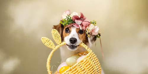 OSTER PARTY & SHOOTING - Shiva Chihuahua & Ria Putzker