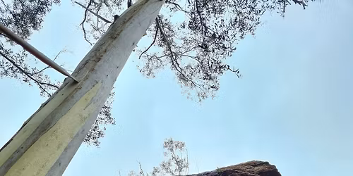 Certificate II in Outdoor Leadership - Beginner Roping Course | December 2025