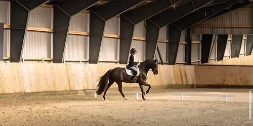 Programtr\u00e6ning i Harridslev Rideklub