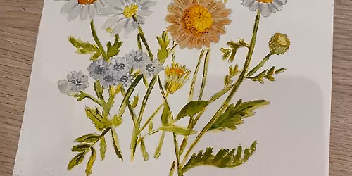 Warsztaty akwareli botanicznej na Dzie\u0144 Mamy \/ polne kwiaty i zio\u0142a