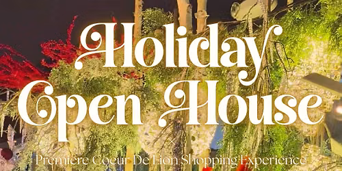 Holiday Shopping Experience