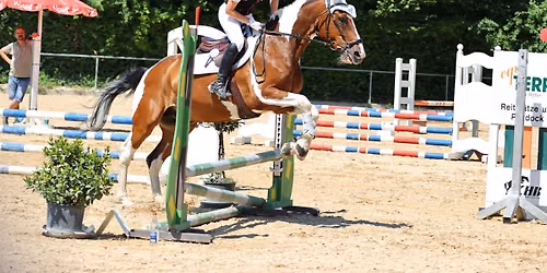Dressur- und Springturnier