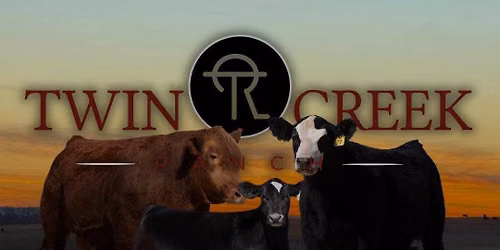 Waltz Cattle w\/ TCR Bid-Off Sale