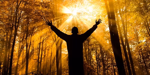 LA VIA DEL RISVEGLIO: TRA COSCIENZA, SCELTA E VERIT\u00c0