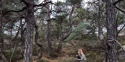 \ud83c\udf3f Sansevandring p\u00e5 Odder\u00f8ya