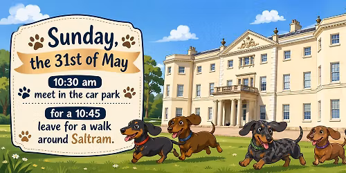 Dachshund Meet at Saltram.