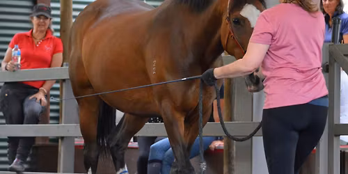 Dressage in Lightness Clinic with Leanne Williams