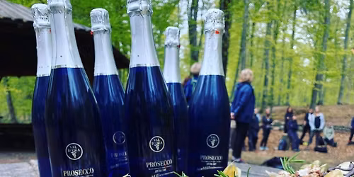 Nyt\u00e5rs-vandring - bobler, b\u00e5l og nyt\u00e5rs-ritualer