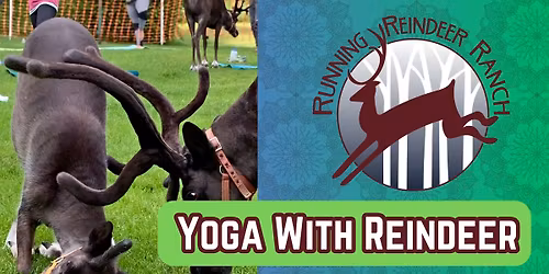 Fly and Flow - Yoga with Reindeer