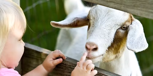 Barnyard Story Hour at Weir River Farm