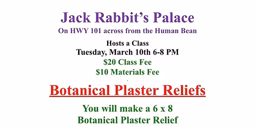 March After Hours Workshop - Botanical Plaster Relief