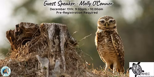 Awesome Owls & Their Role in the Environment