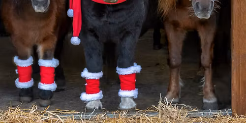 Gallashow p\u00e5 lode ridesenter!