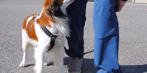 Innend\u00f8rs "Triks & Shapingkurs" i Fredrikstad - 1 ledig plass!