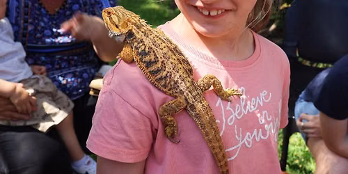 School Holidays: Reptile Experience at Multiple Locations (Ages 5+)