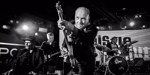 WHISTLE BAIT - PLAYS 60s ELVIS PRESLEY! (Roots-musiikin evoluutio vol. 13)