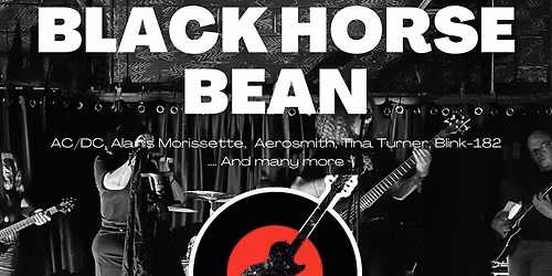 RERUN playing at the Black Horse, Bean