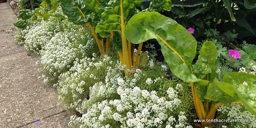 LEPS Spring Garden Seminar