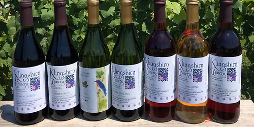 Saturday Sip & Shop Craft event