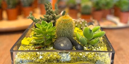 Cactus garden workshop 