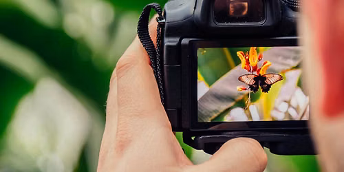 Beginner's Photography Class