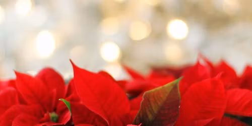 Floral and Watercolor Workshop