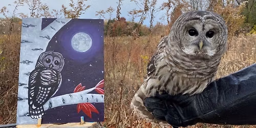 Evening With an Owl: Paint + Portraits