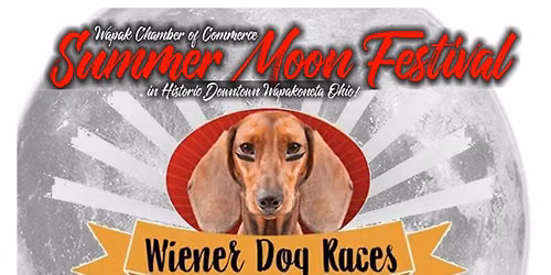 Wiener Dog Races 