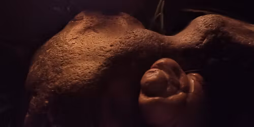 Women's Wild Pottery