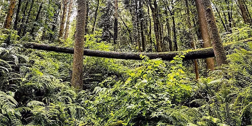 Join People of Color Outdoors at Upper Macleay Park