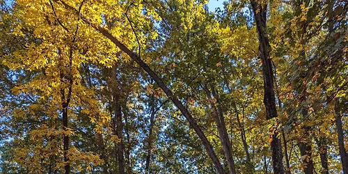 8 Limbs of Yoga Workshop Series with Melissa & Guests!