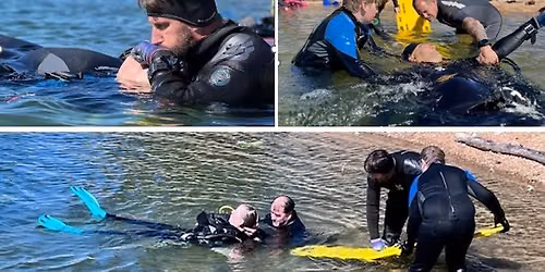 SSI Diver Stress & Rescue (with CPR, AED, First Aid and O2)