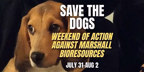 International Weekend of Action For the Dogs at Marshall BioResources