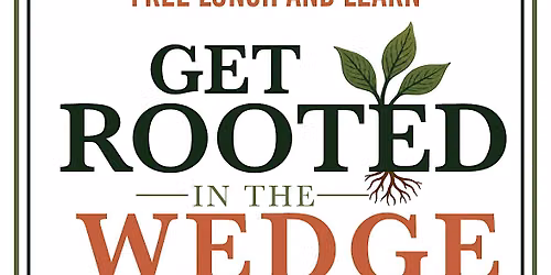 Get Rooted in the Wedge