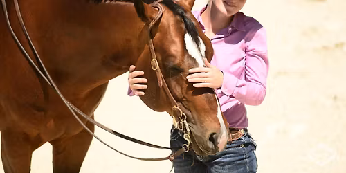 Westernreitkurs mit Linda Leckebusch-Stark